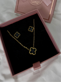 Set VCA Negro