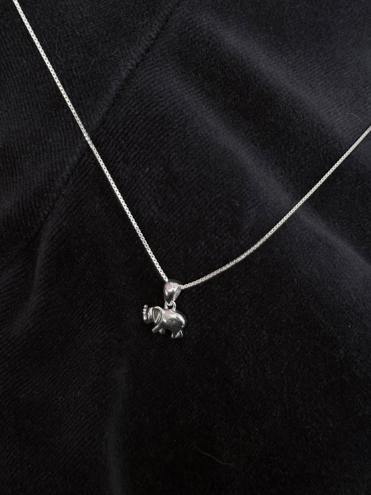 Cadena elefante Plata italiana 925